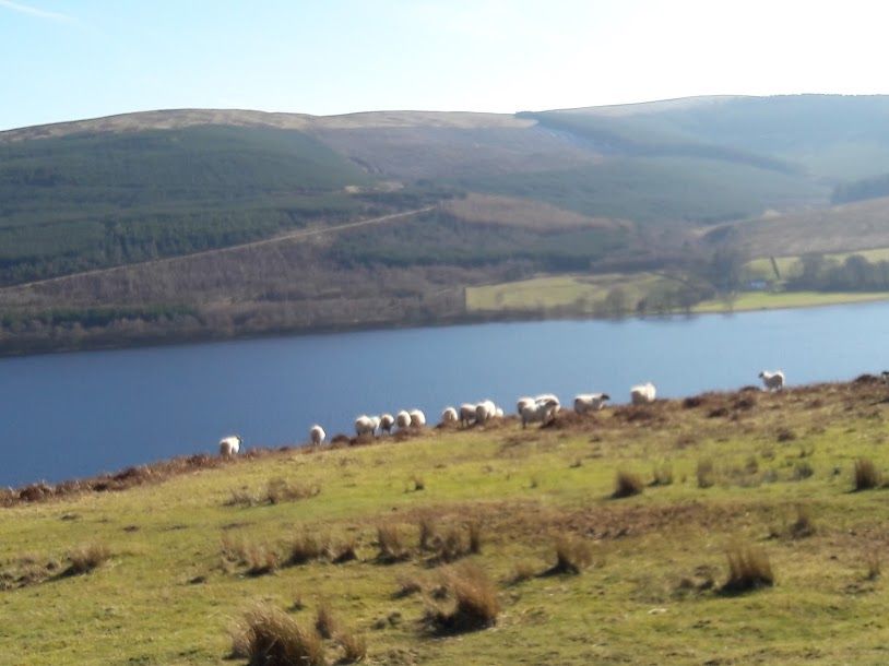View from old churchyard